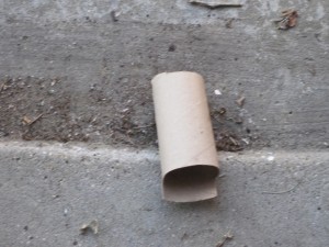 A bathroom tissue core laying on the ground. 