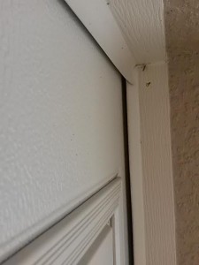 An image showing gaps on a high lift garage door with windows.